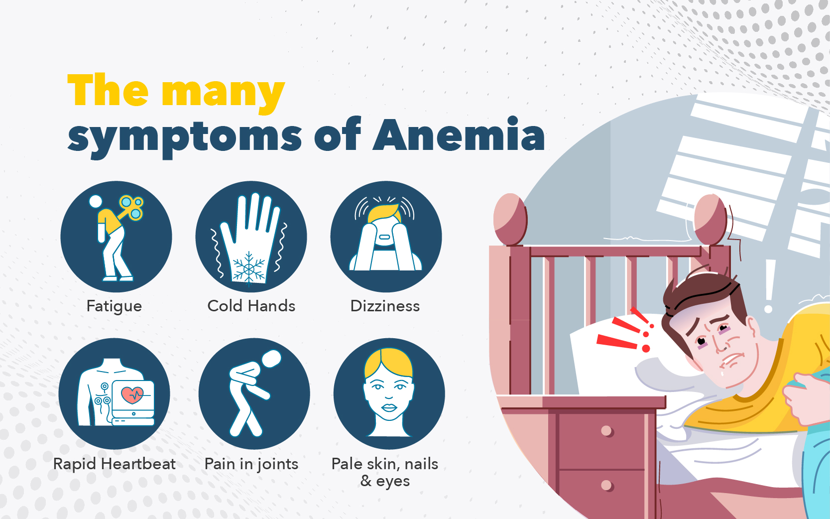 ANAEMIA PROFILE